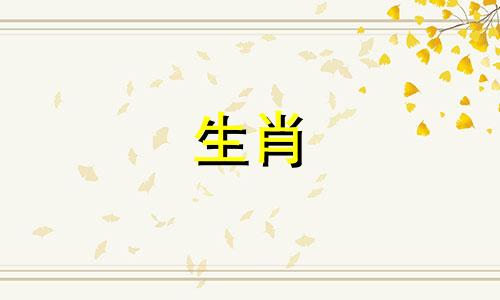 杨仁遇上天一贵人，命理事业发展顺利