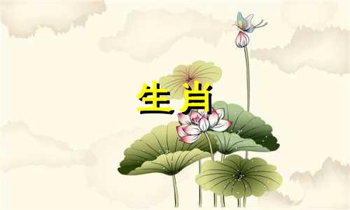 1971年属猪人的命运如何? 1971年属猪人的命运如何?