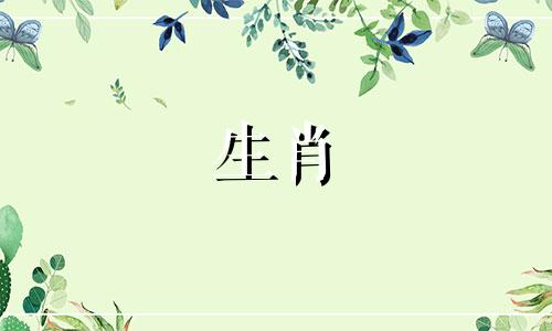 公猴母狗夫妇的财运如何? 92公猴和94母狗配吗?