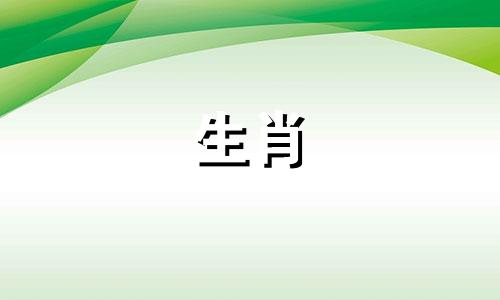 1976年属龙年出生的男性性格特点
