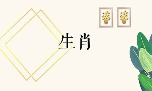 狗是最适合结婚的生肖。哪些生肖最适合养狗？