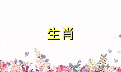 属龙吊坠的禁忌：光煞