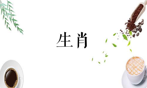 看到四足蛇意味着什么好运？