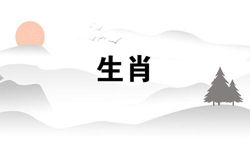 属龙和属龙的生肖相配吗？配对运势如何？