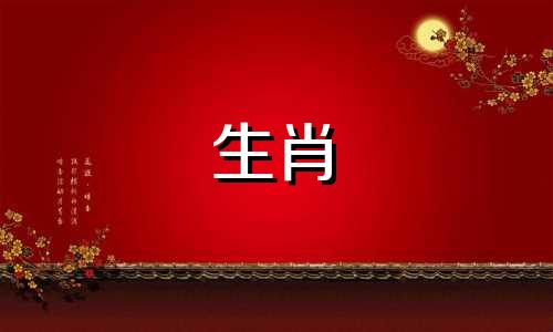 智商高、情商高的星座女性是属马女