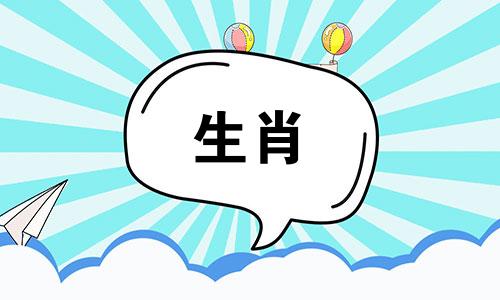 鼠年出生的人今年几岁了？ 20岁。鼠年出生的人几岁了？