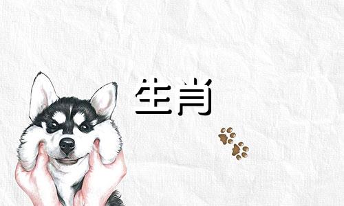 1974年出生的属虎人的命运如何？ 1974年出生的人46岁以后的人生命运会怎样？