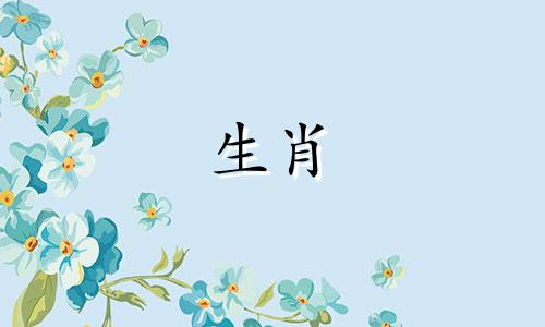 属猪人和属蛇人的财运加起来是多少?