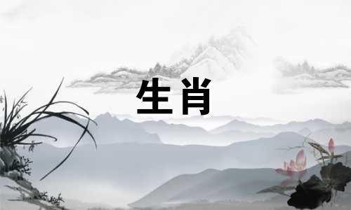 1981年属鸡人的一生运势如何？