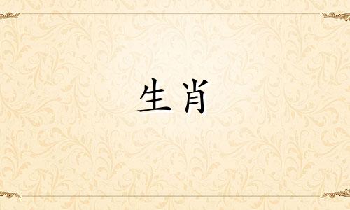 1996年出生的属鼠人在2022年可以结婚吗？ 26岁时他们的财富是多少？