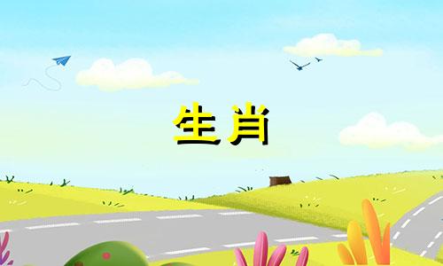 六月出生的属鼠人的命运如何？