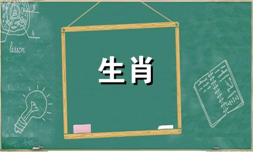 蛇喜欢什么颜色?它是橙色的。