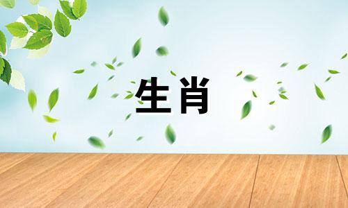 乐观豁达的生肖女是属马女