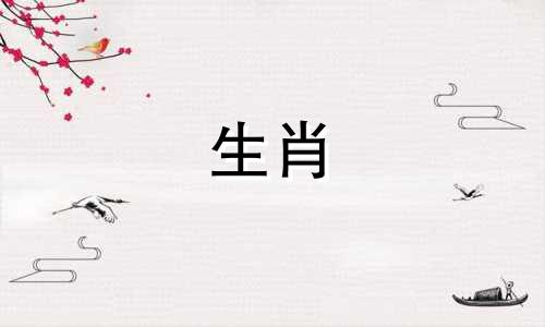 只为自己而活的生肖女人是虎女