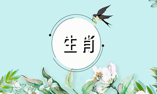 2009年出生的属牛人的命运如何？ 2009年出生的属牛人的命运如何？