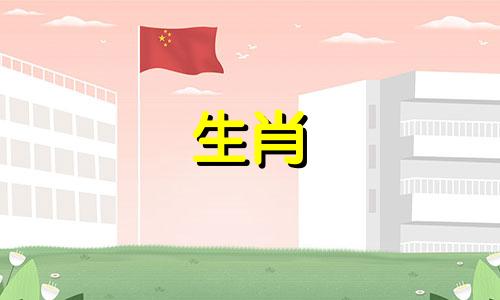 属鸡的男人永远爱着前任