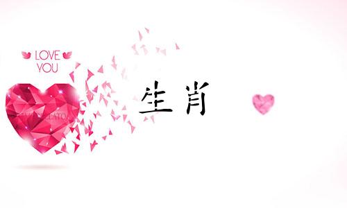 属兔女人的性格、气质、特点和缺点