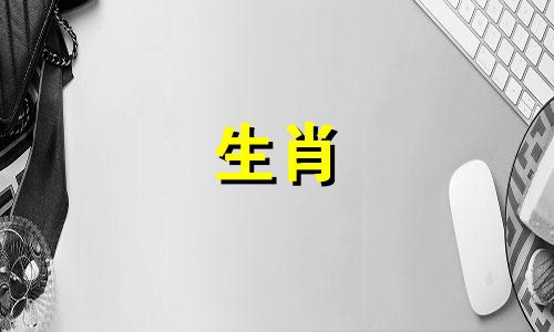 2011年是什么生肖?属兔人2011年的命运如何?