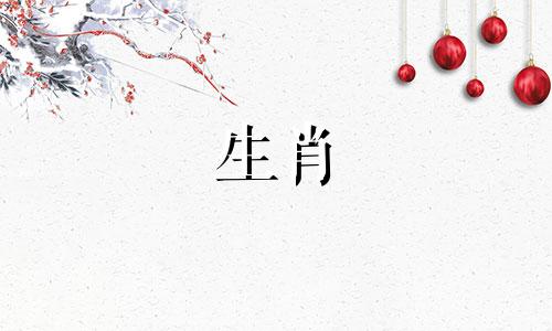 生肖羊的人非常聪明。