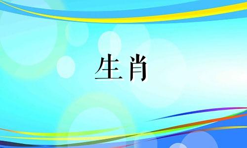 1971年属猪人的幸运数字,1971年属猪人的幸运颜色