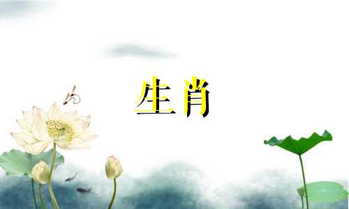 什么样的女生会吸引属鼠人体贴的女生呢?