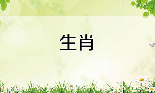 属鸡和属羊的相配性如何？