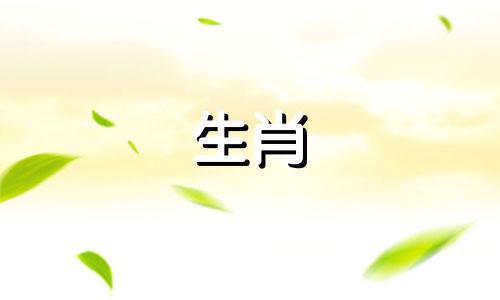 1988年属龙年和1991年羊年相配吗?这是一段美好的婚姻。