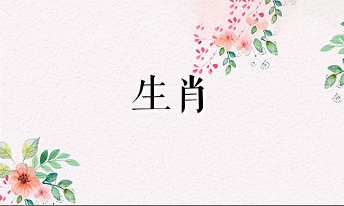 属龙的生肖喜欢主动的女人，哪些生肖女孩能让属龙的男人爱上呢？