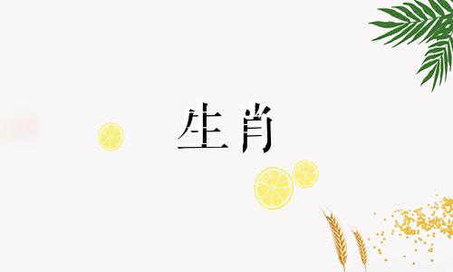 残酷而险恶的十二生肖女性是蛇。