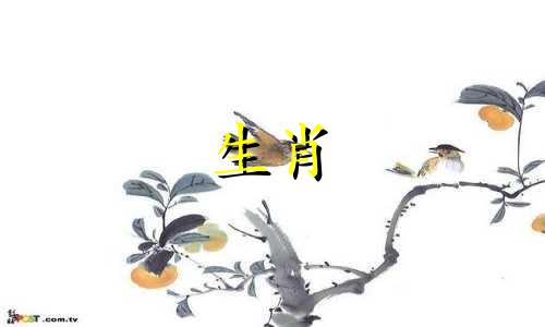 1993年闰月属鸡的命运如何?水鸡的命运如何?