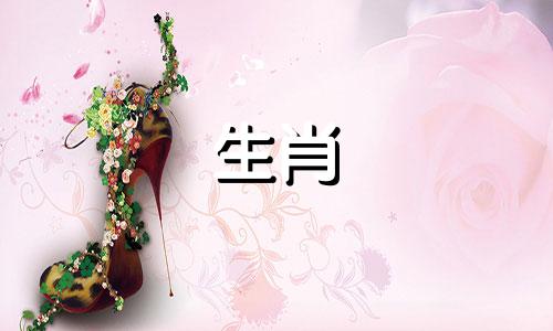 马和蛇相克吗？配对的运气如何？