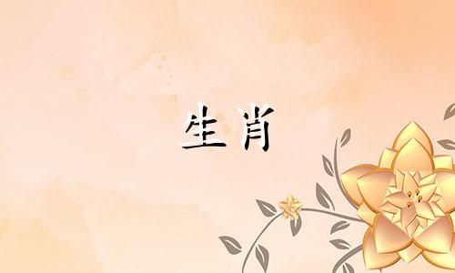 丙子年属鼠人的命运如何？