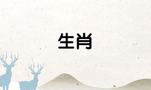 属鼠的男人喜欢什么样的女人?