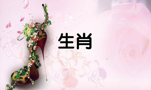 十二生肖中最珍贵的妻子是狗。