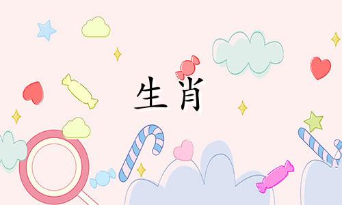 属龙女是十二生肖中性格比较强势的女生