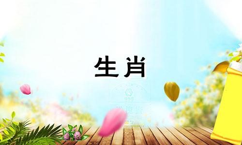 属兔和属马相配吗?它需要不断的调整。