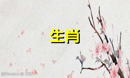 91羊88属龙的运势如何？