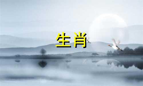 蛇男与马女的婚姻能长久吗？男人属蛇，女人属马，在一起好吗？