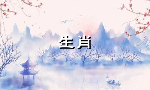 民间有句俗话:胸前有白毛的黑狗招财。