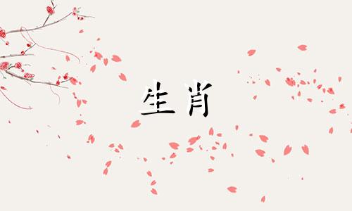 男人有马耳朵好不好?如果他有马耳他真的很幸运吗?