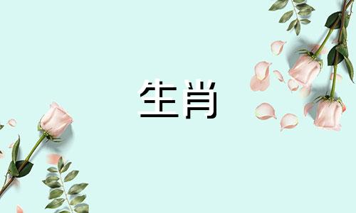 狗年出生的狗佩戴吉祥物有什么意义呢？