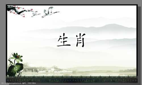 如果狗年出生的女人喜欢属龙年出生的女人,那么她和属龙年出生的女人在一起时的运势会怎样呢?