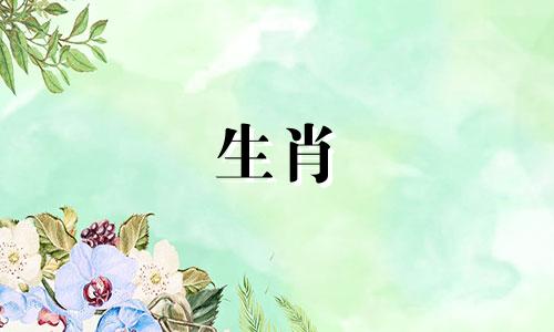 属兔的男人喜欢笨女人,但不讨厌她们