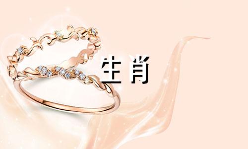 86男虎92女猴婚姻该如何解决