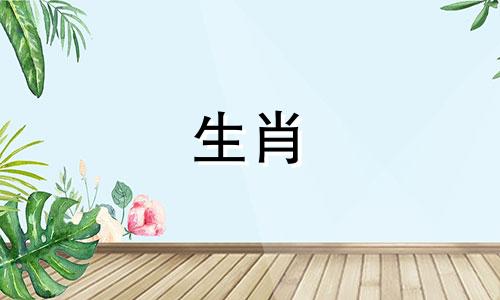 虎年生的男人和羊年生的女人结婚好不好?