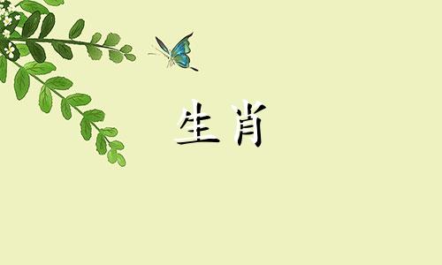 1982年，这只狗的命运是什么？