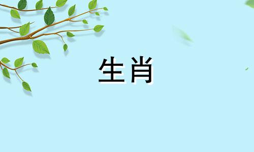 一般来说，1996年和1993年出生的人，鼠年出生的人和鸡年出生的人结婚