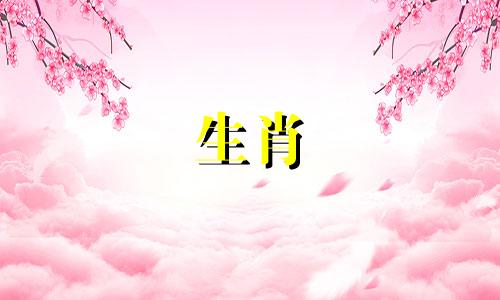 财位应该摆什么才能招财呢?将属龙骨放在财位。