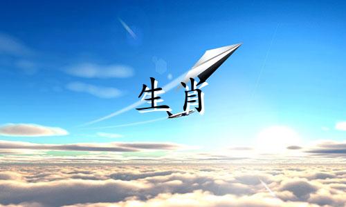 羊和马相配吗?公马和母羊适合结婚吗?