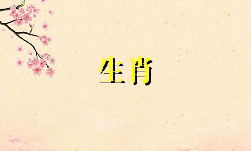 属蛇的男人喜欢漂亮的女人吗？他们不仅喜欢漂亮的女人？